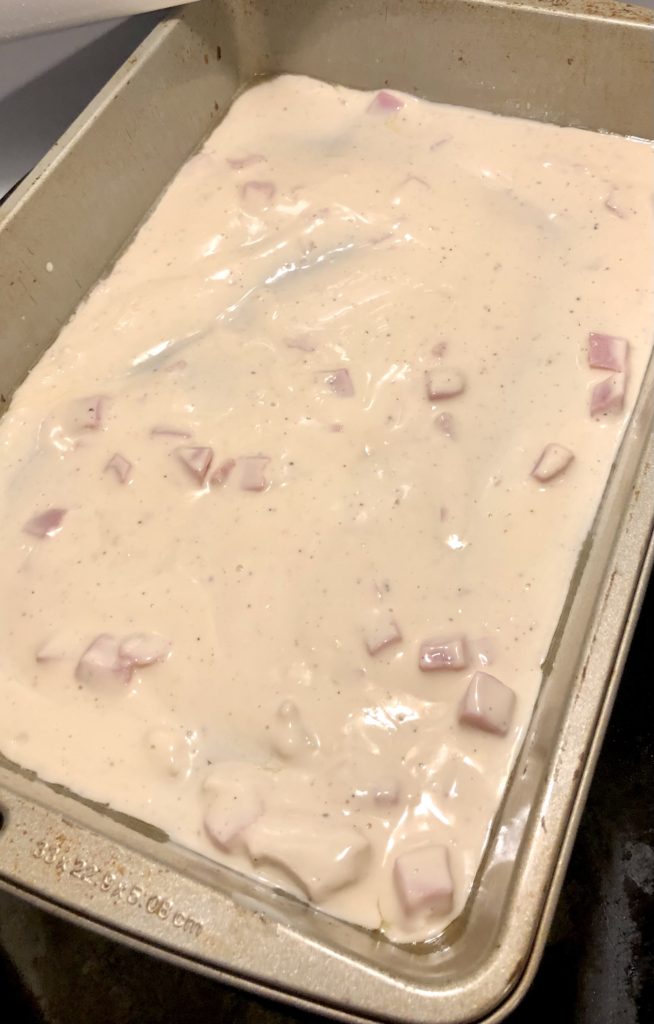 alfredo and ham in bottom of pan