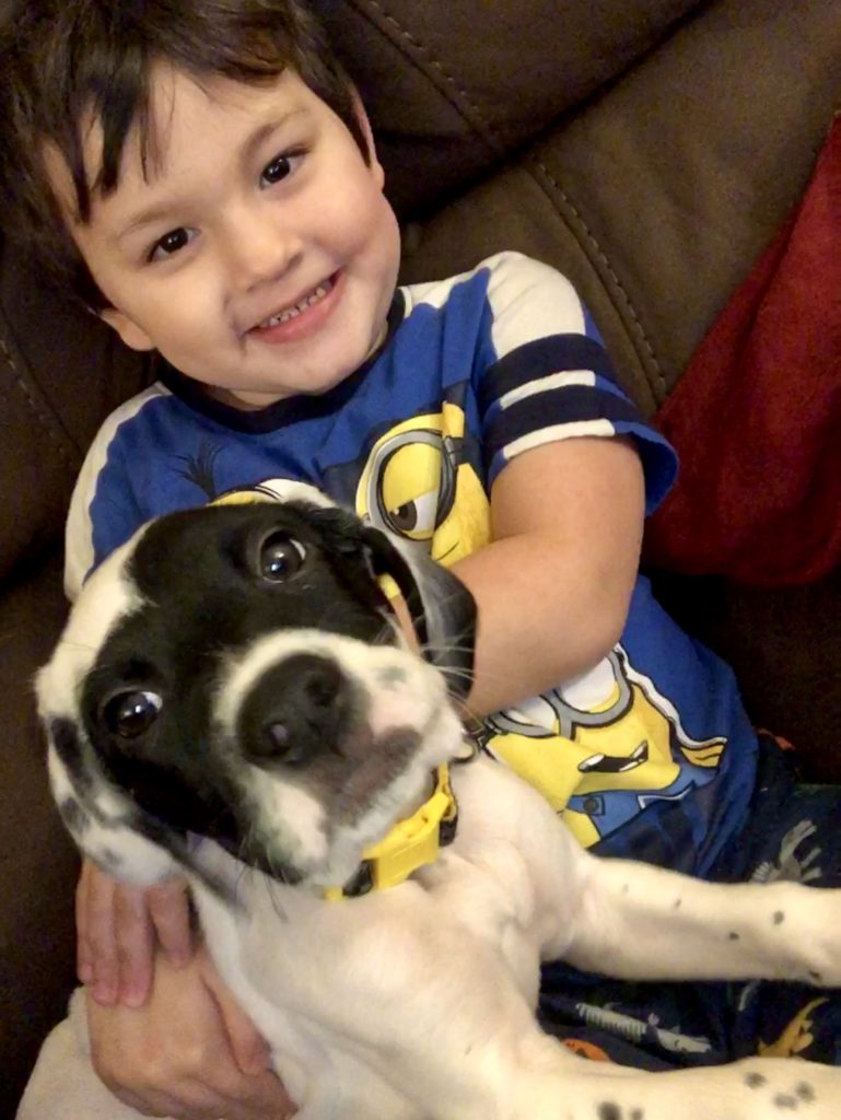 toddler and puppy - Dylan and Toby