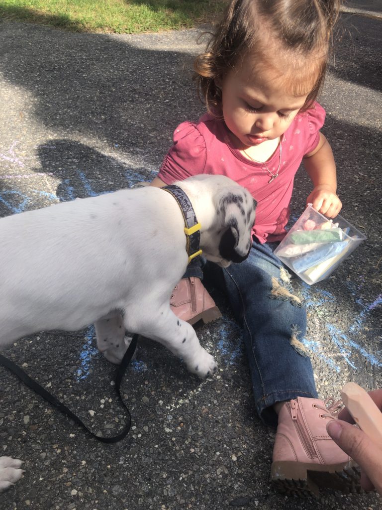 baby and puppy - Vivianna and Toby